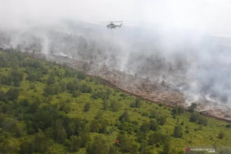 sumsel-siaga-satu-kebakaran-hutan-dan-lahan-kerahkan-seluruh-pasukan-dan-peralatan