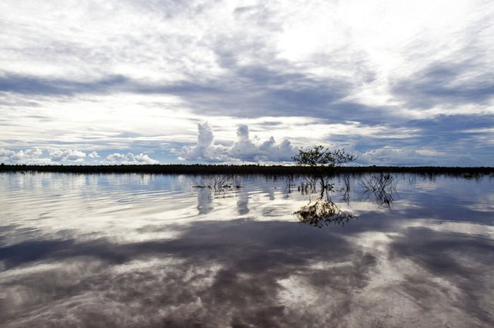 tata-kelola-gambut-di-papua-demi-keberlangsungan-hidup-warga