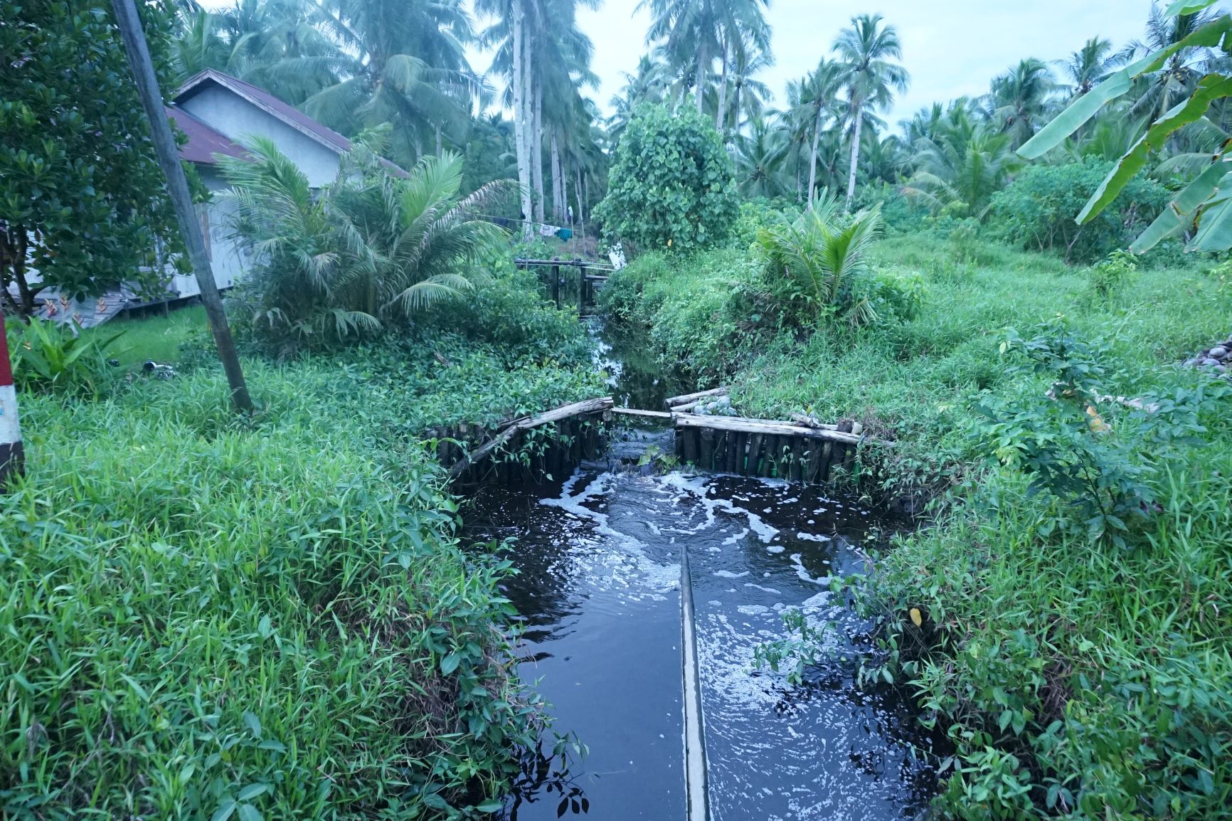 infrastruktur-pembasahan-gambut