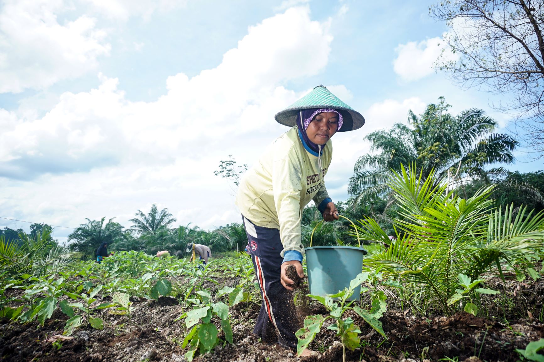 Perempuan Desa Peduli Gambut